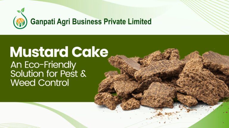 Read more about the article Is Mustard Cake an Eco-Friendly Solution for Pest and Weed Control in Livestock Farming?